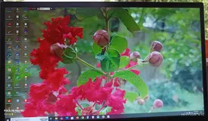 Monitor, Esonic