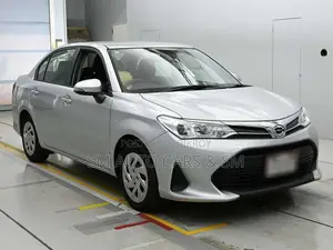 Toyota Axio 2021 Silver