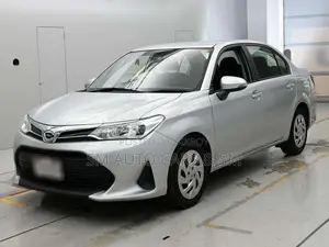 Toyota Axio 2021 Silver
