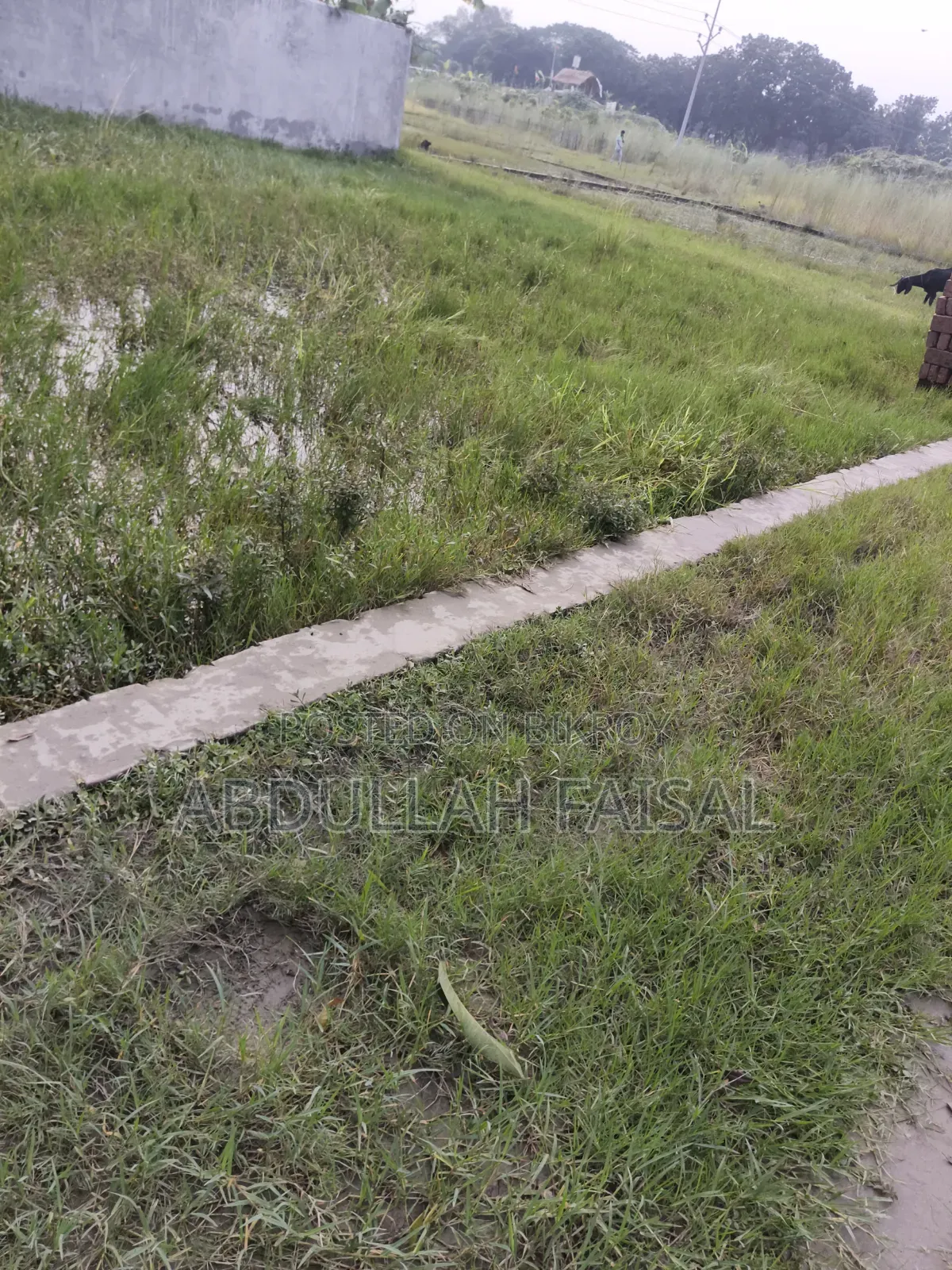Land for Sale