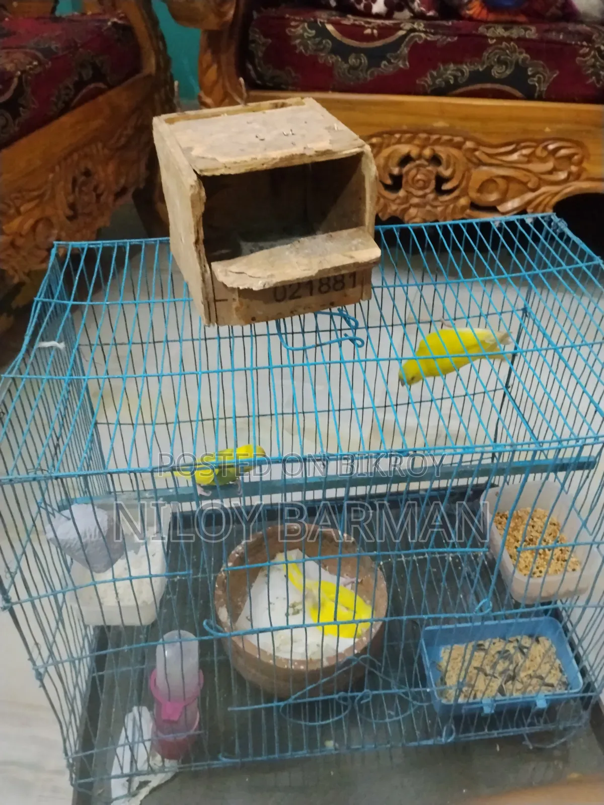 Birdgerbird