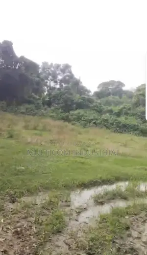 106 Bigah Agrobase Land at Satrapara, Trishal