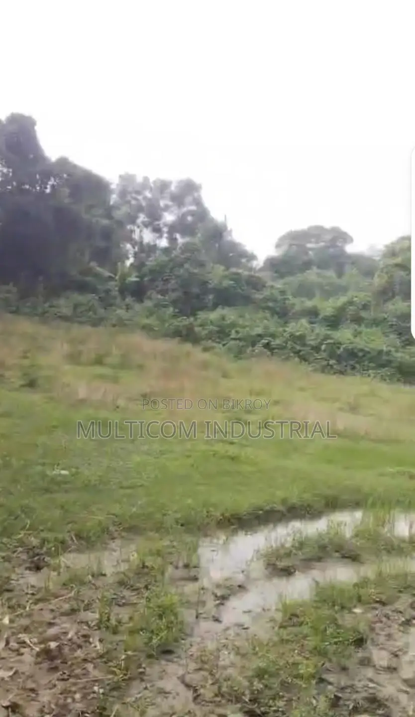 106 Bigah Agrobase Land at Satrapara, Trishal