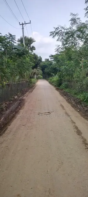 106 Bigah Agrobase Land at Satrapara, Trishal