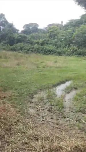 106 Bigah Agrobase Land at Satrapara, Trishal