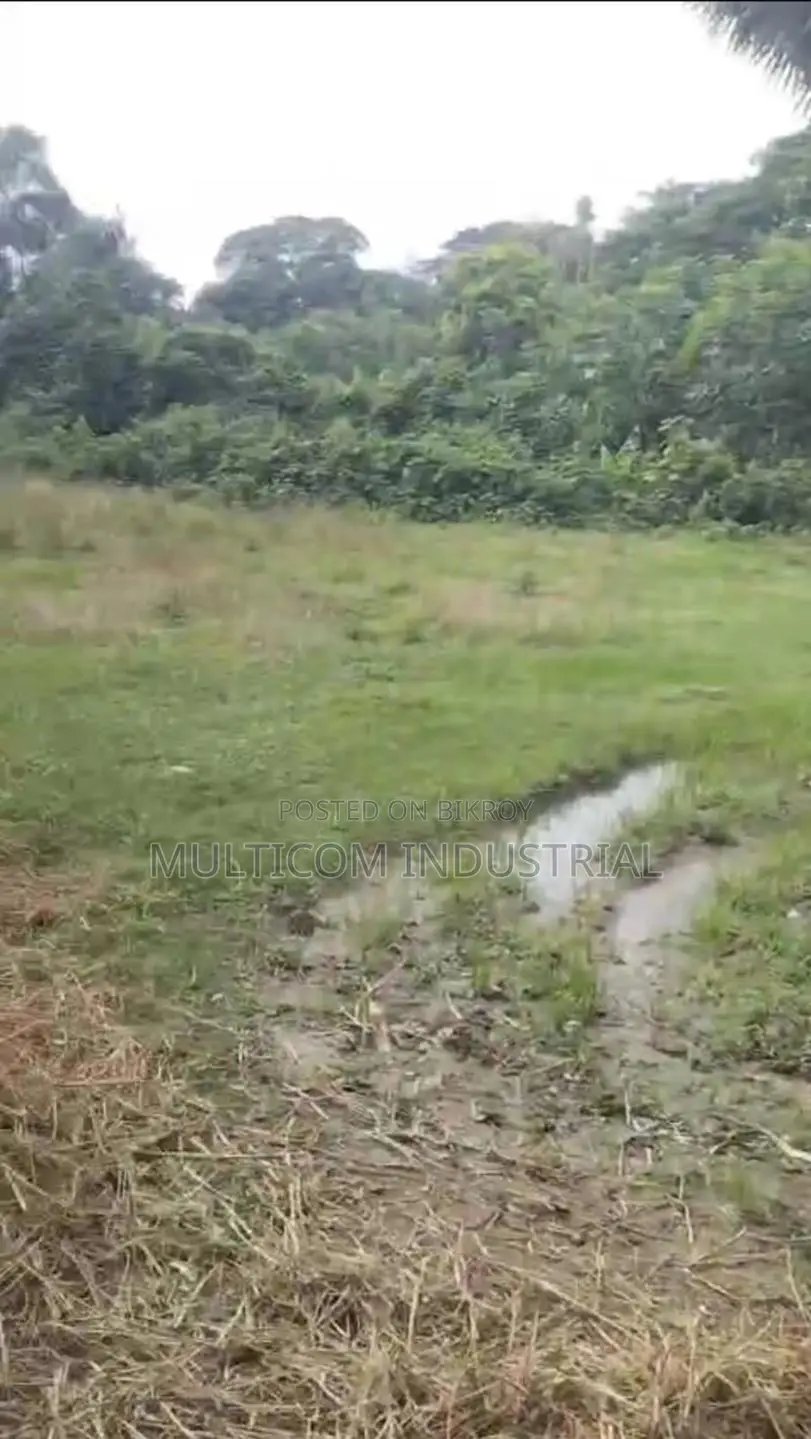 106 Bigah Agrobase Land at Satrapara, Trishal
