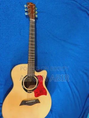 Tayste Semi-Acoustic Guitar for Sell