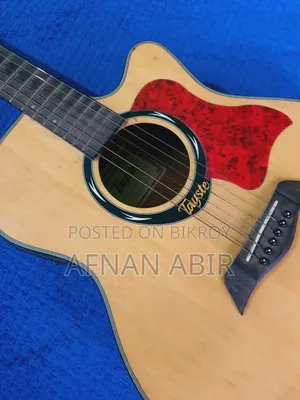 Tayste Semi-Acoustic Guitar for Sell