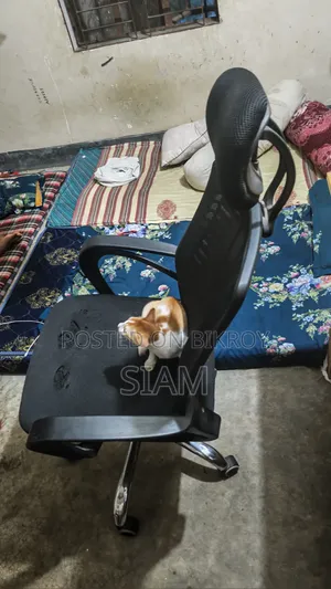 V-Mesh Revolving Chair