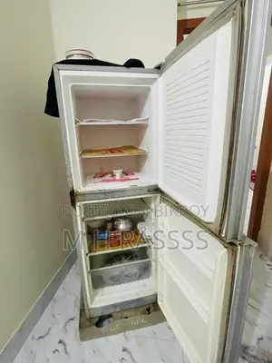 New Freeze Kinbo Tai Aita Sell Diya Dibo 