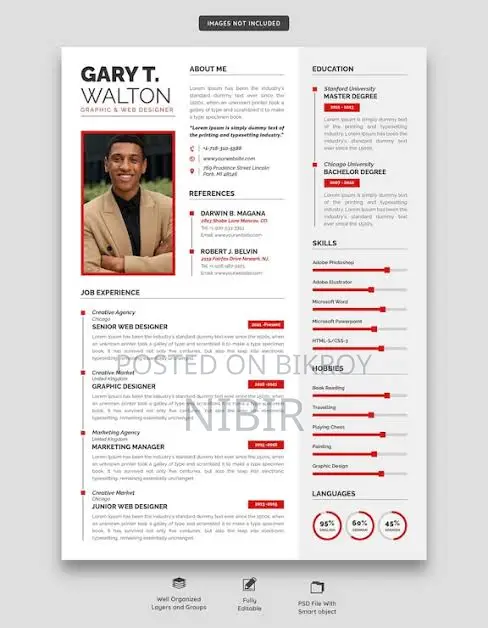 Professional CV and Cover Letter Writing