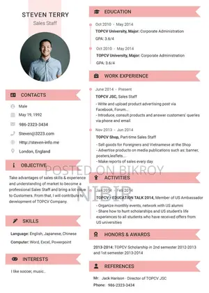 Professional CV and Cover Letter Writing