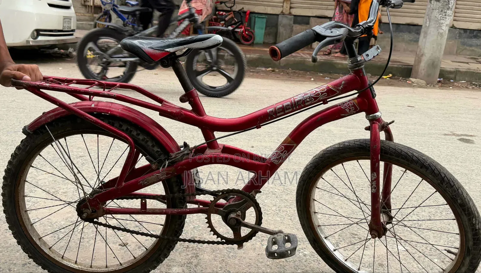 Cycle 20 Size