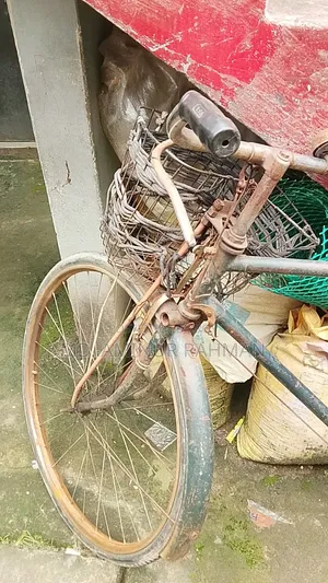 Cycle