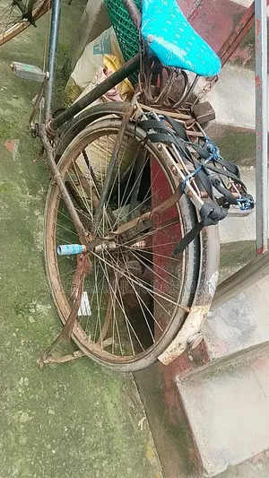 Cycle
