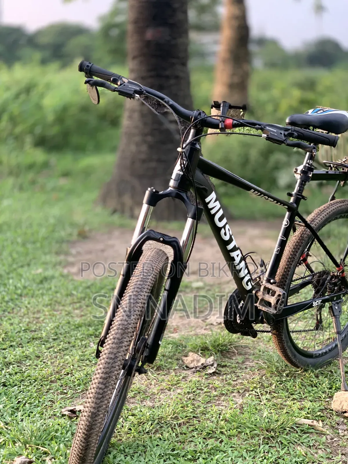 মাস্টাং সাইকেল