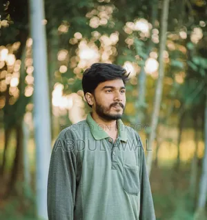 Abdul Awal