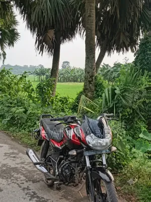 বাজাজ ডিসকভার ১১০ ২০১৯ কালো