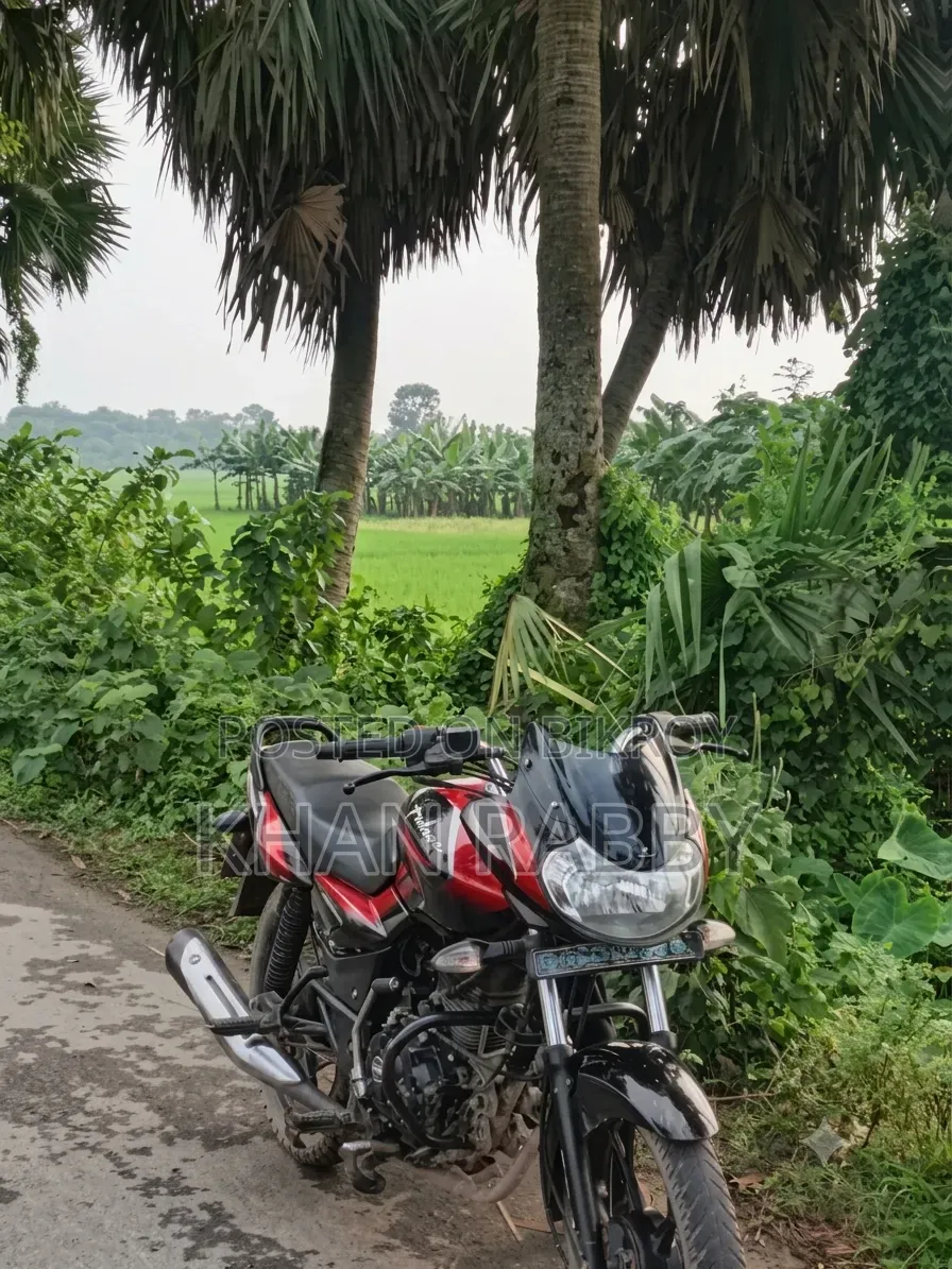 বাজাজ ডিসকভার ১১০ ২০১৯ কালো