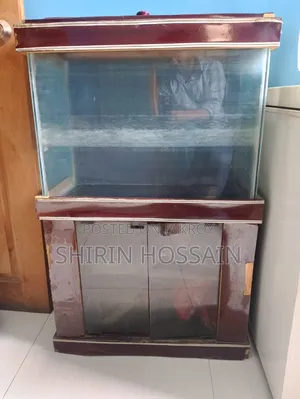 ফিশ অ্যাকুরিয়াম