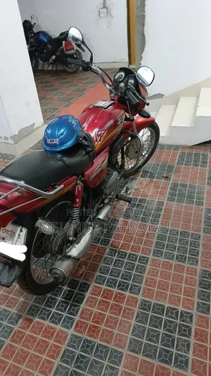 Hero Splendor Pro 2012 Red