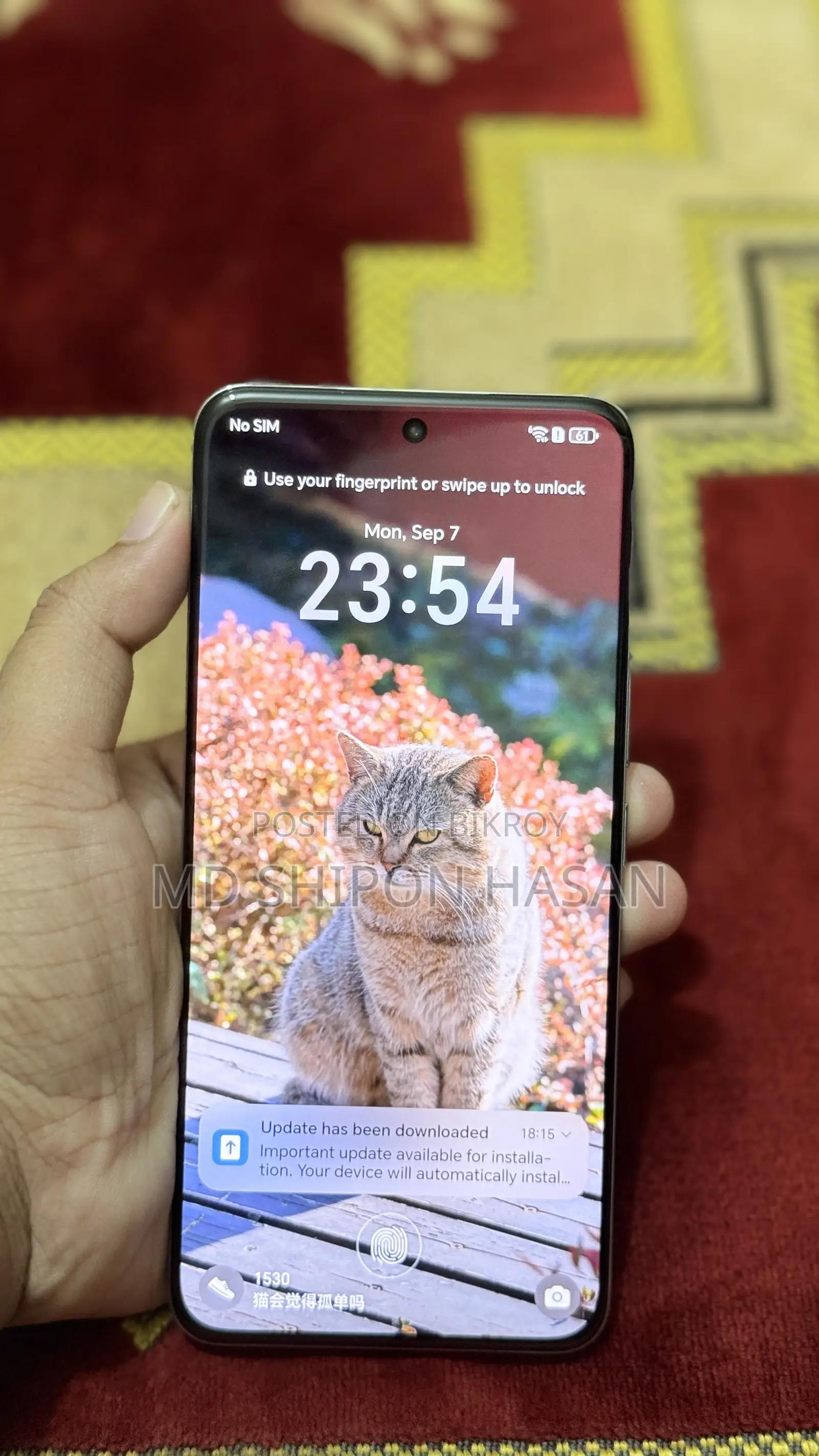 Honor 200 256 GB Silver