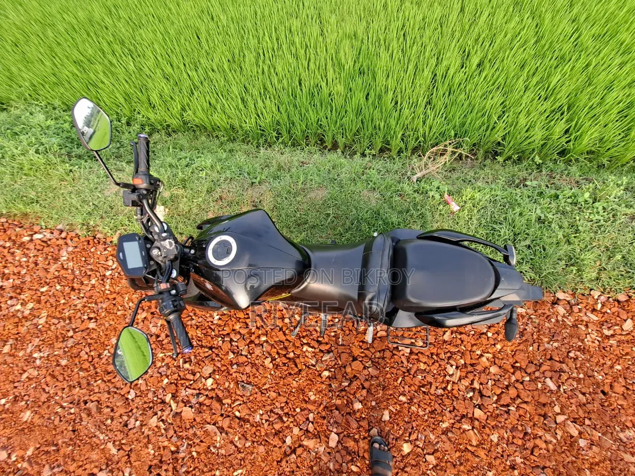 Suzuki Gixxer SF 2024 Black