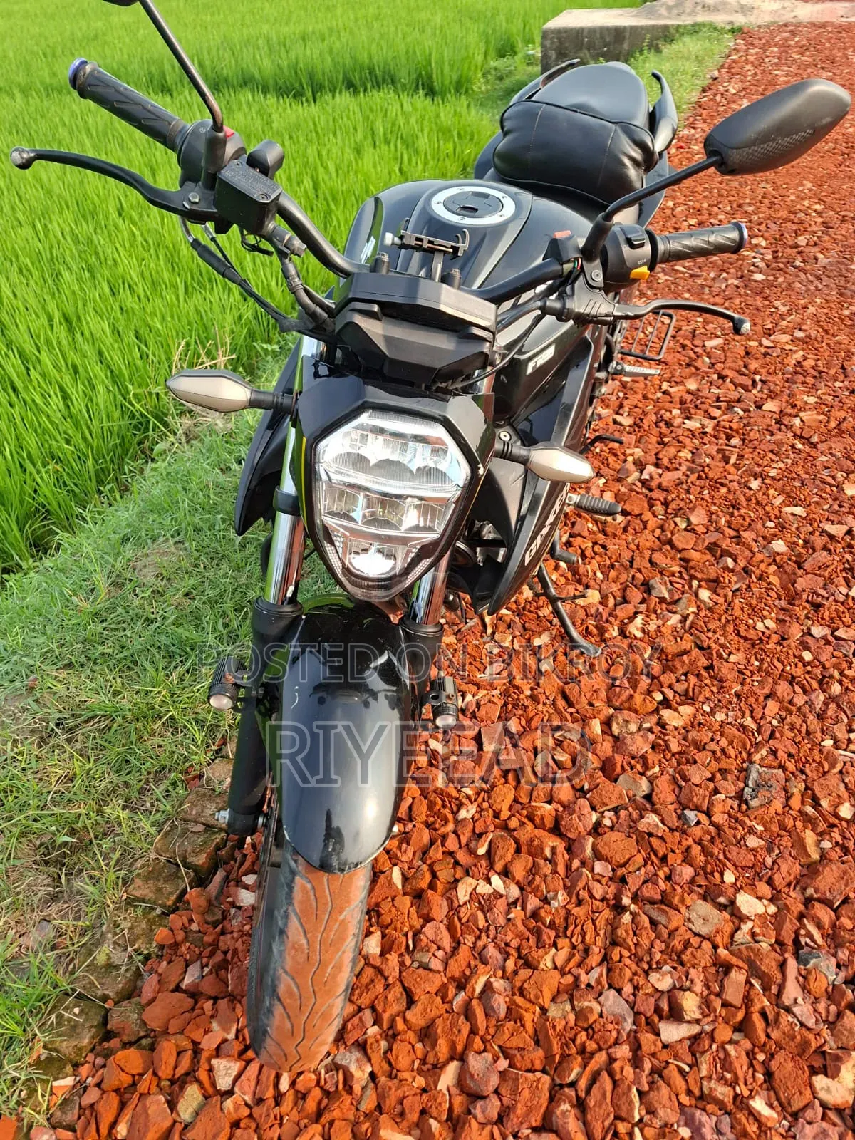 Suzuki Gixxer SF 2024 Black