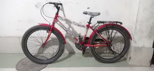 প্রিন্স ২৪ সাইজ সাইকেল