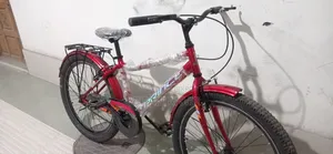 প্রিন্স ২৪ সাইজ সাইকেল