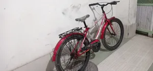 প্রিন্স ২৪ সাইজ সাইকেল