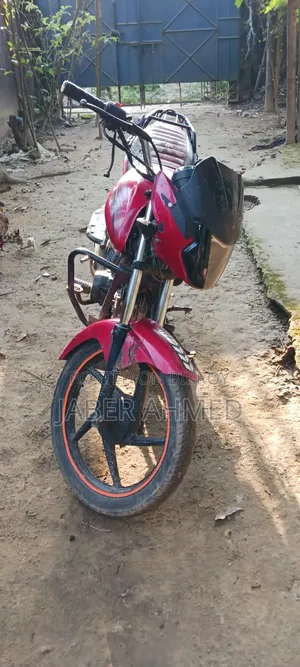 এইচ পাওয়ার যারা-১০০ ২০১৪ লাল