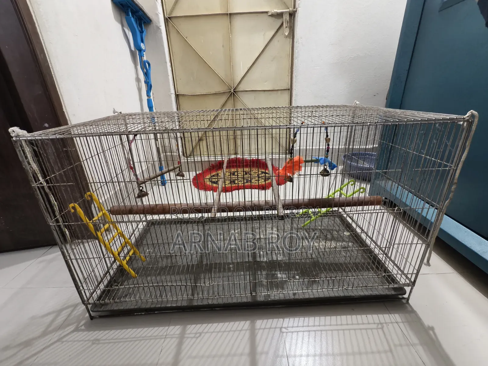 পাখির জন্য Complete Setup — খাঁচা নিলেই সব রেডি!