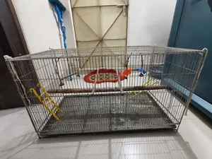 পাখির জন্য Complete Setup — খাঁচা নিলেই সব রেডি!