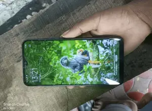 Vivo Y11 32 GB Blue