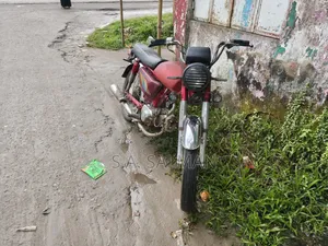 জিয়ালিং জিয়াওলং ২০০৬ লাল