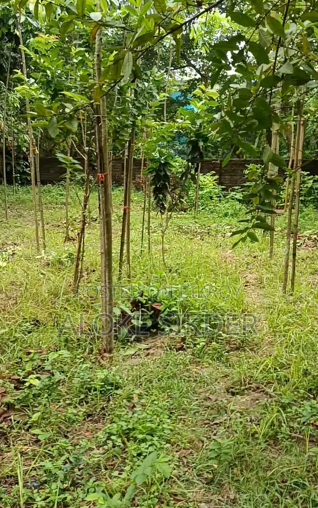 Land for Sale