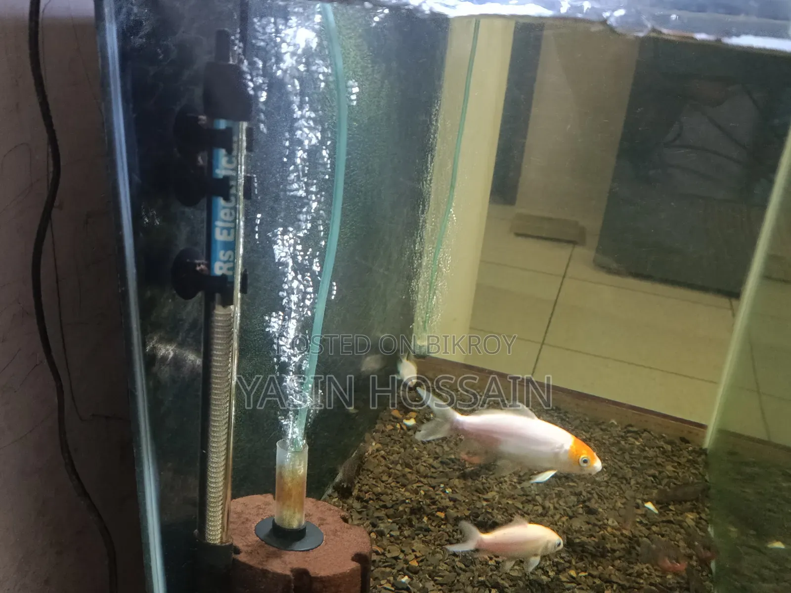 Fresh Aquarium