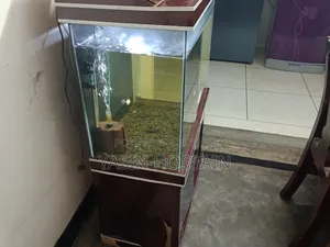 Fresh Aquarium