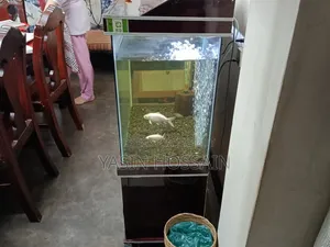 Fresh Aquarium