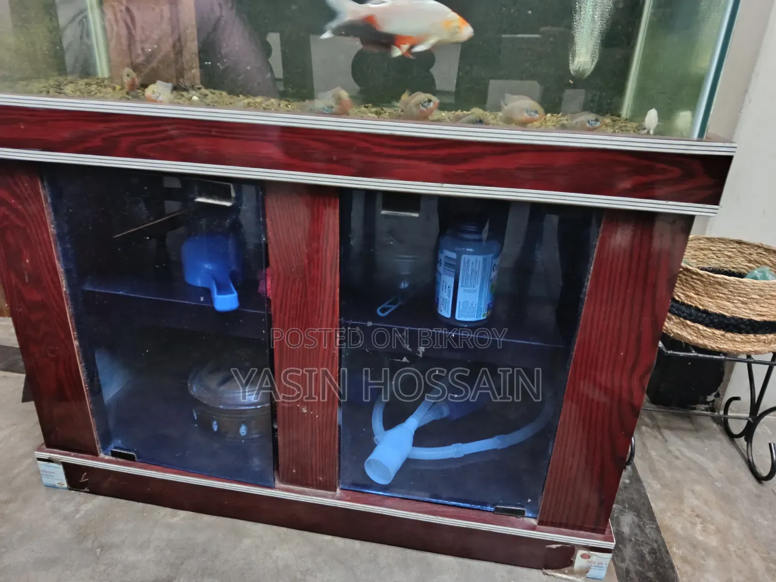 Fresh Aquarium
