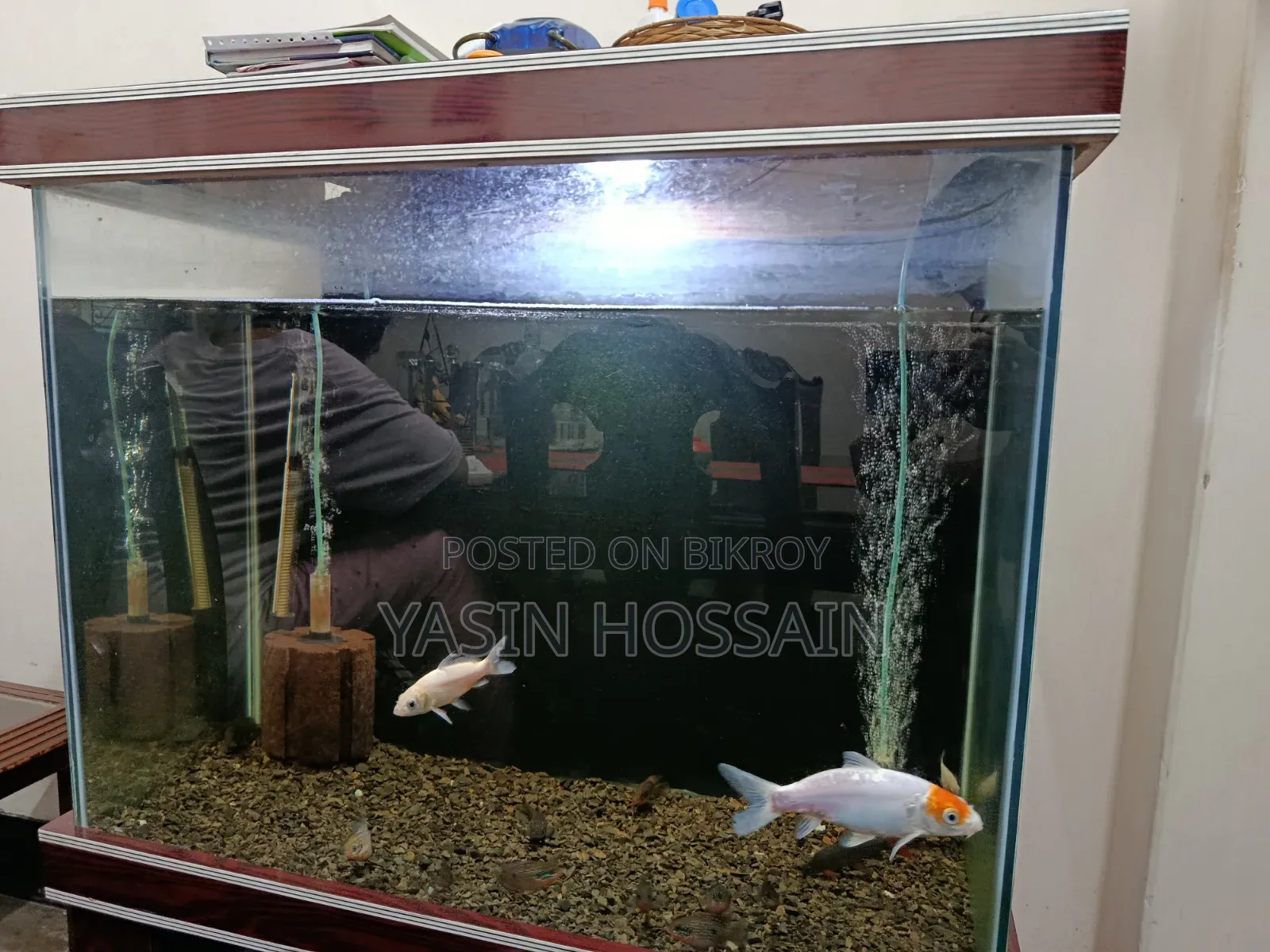 Fresh Aquarium