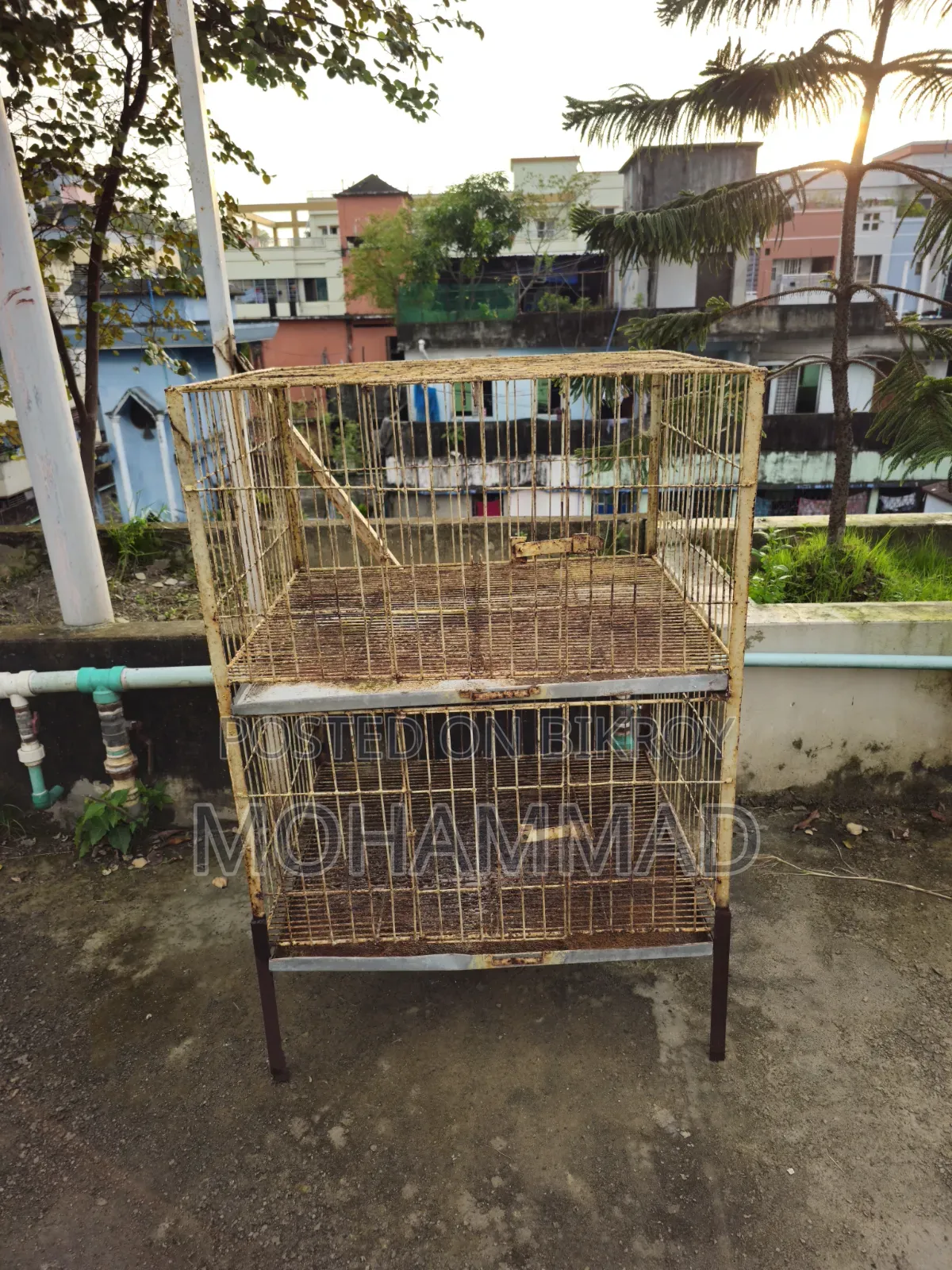 কবুতরের খাঁচা