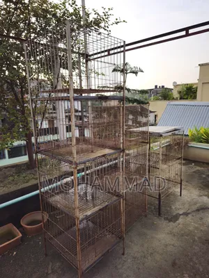 কবুতরের খাঁচা
