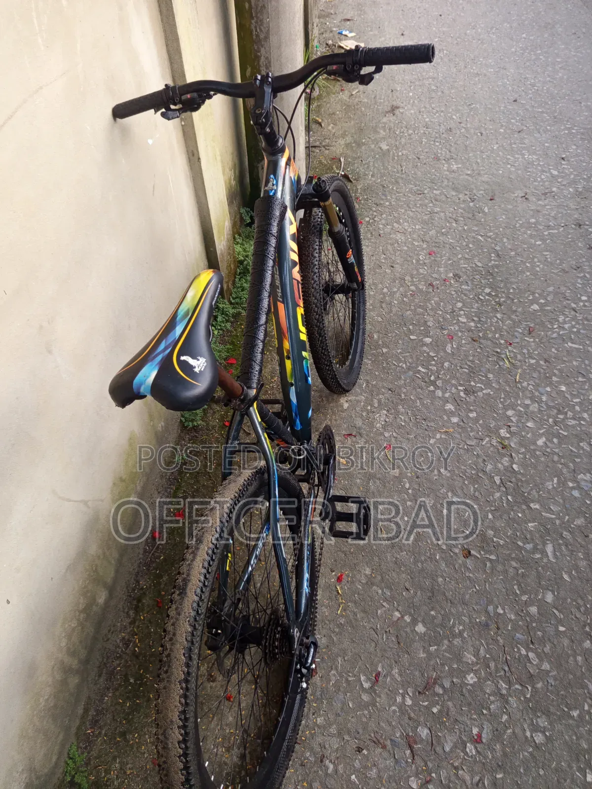 Phoenix Kubo Oil Brake 24 Speed Gear Cycle (Negotiable)