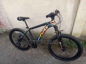 Phoenix Kubo Oil Brake 24 Speed Gear Cycle (Negotiable)