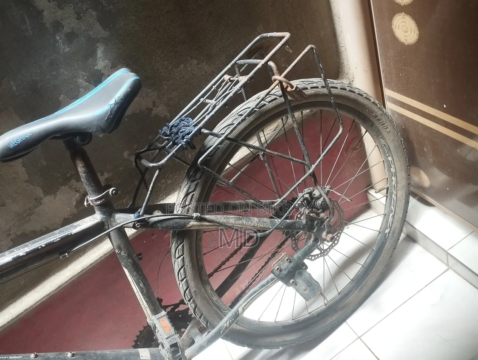 Phoenix Cycle