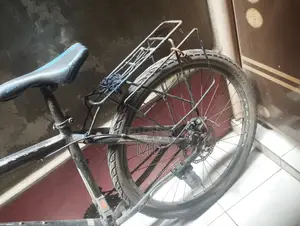 Phoenix Cycle