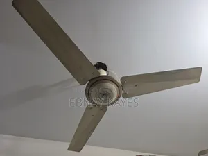 Pakistani GFC Fan