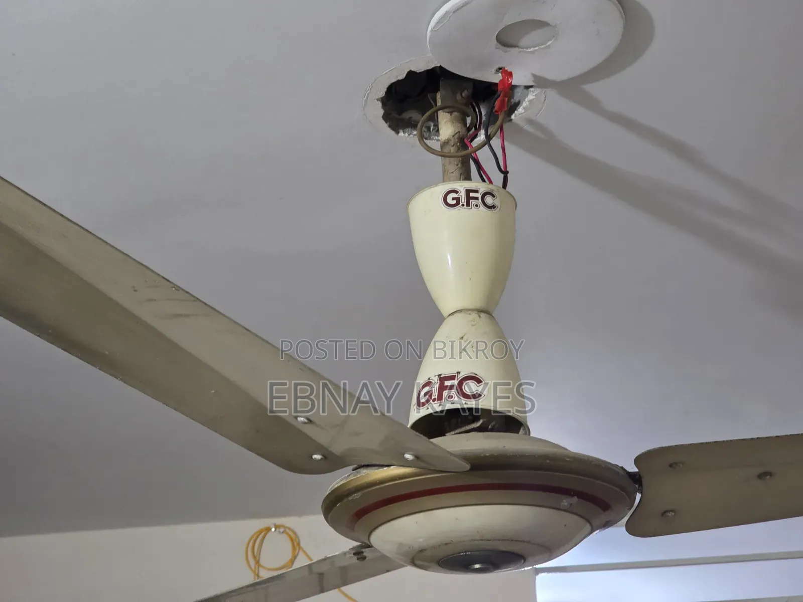 Pakistani GFC Fan